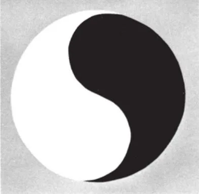 Yin and Yang - dark light harmony